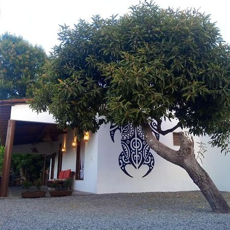 Recanto Do Meu Bem Jericoacoara Eksteriør billede
