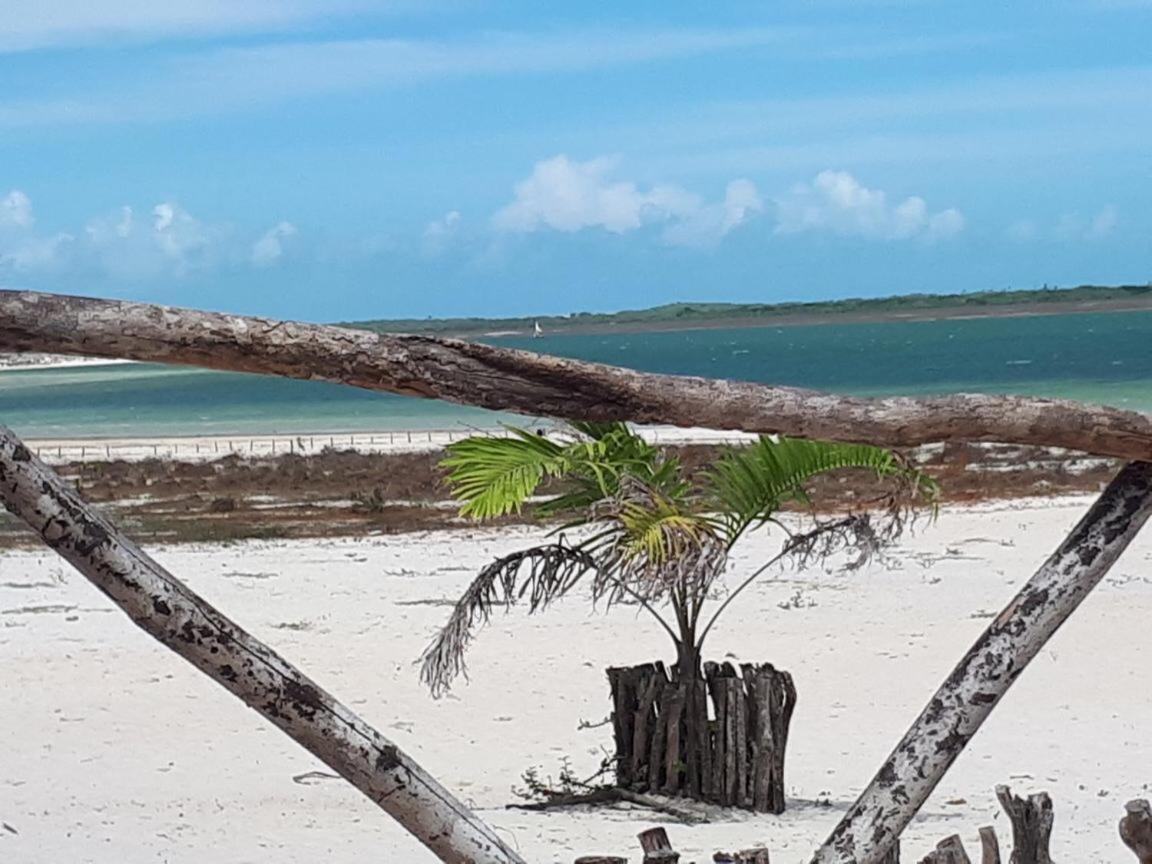 Recanto Do Meu Bem Villa Jericoacoara Eksteriør billede