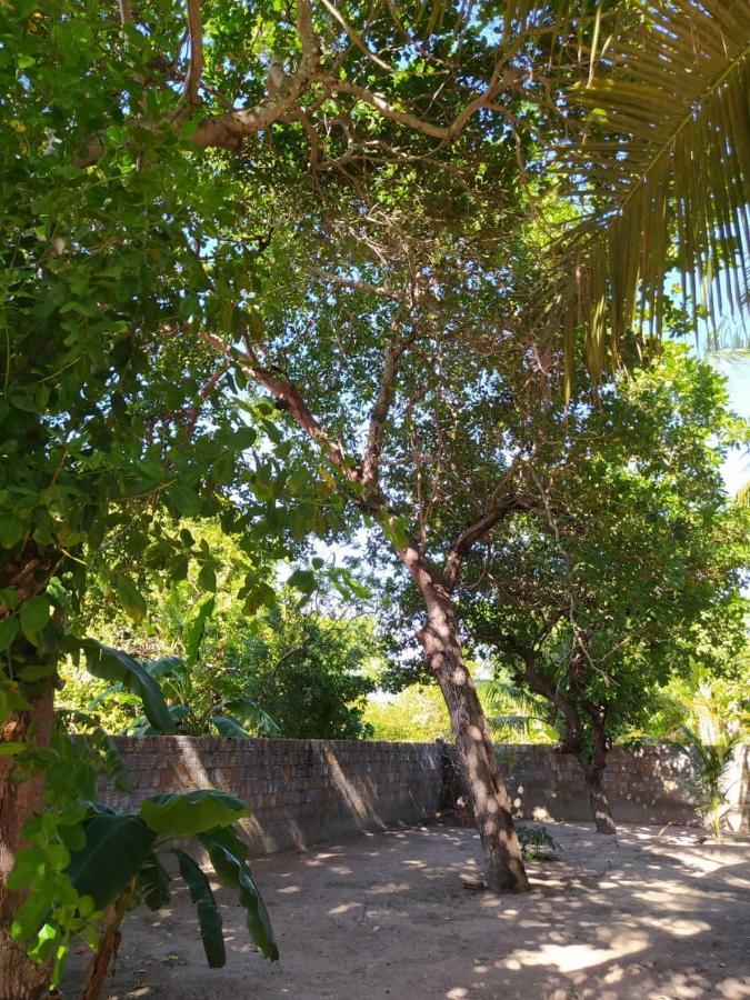 Recanto Do Meu Bem Jericoacoara Eksteriør billede