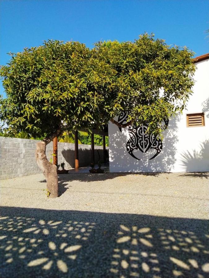 Recanto Do Meu Bem Jericoacoara Eksteriør billede